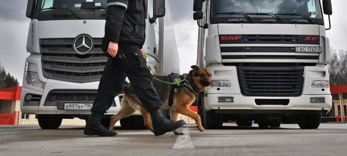 Таможня, Беларусь, фуры, собаки