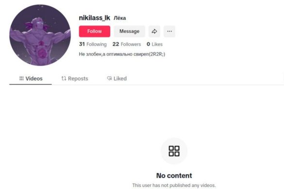 В TikTok пустые аккаунты подшиваются под патриотов