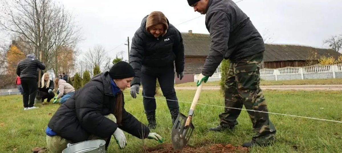 людзі саджаюць дрэвы