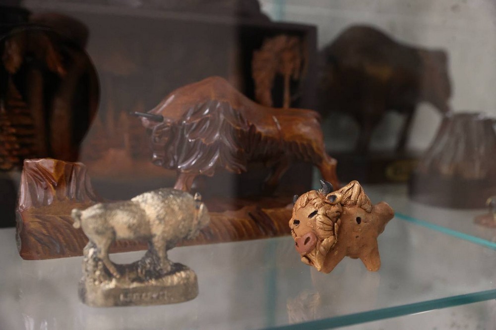 Музей зубров в Брестском облисполкоме