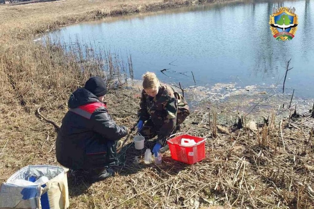 Массовый замор рыбы на прудах Бохоново в Лунинецком раойне.