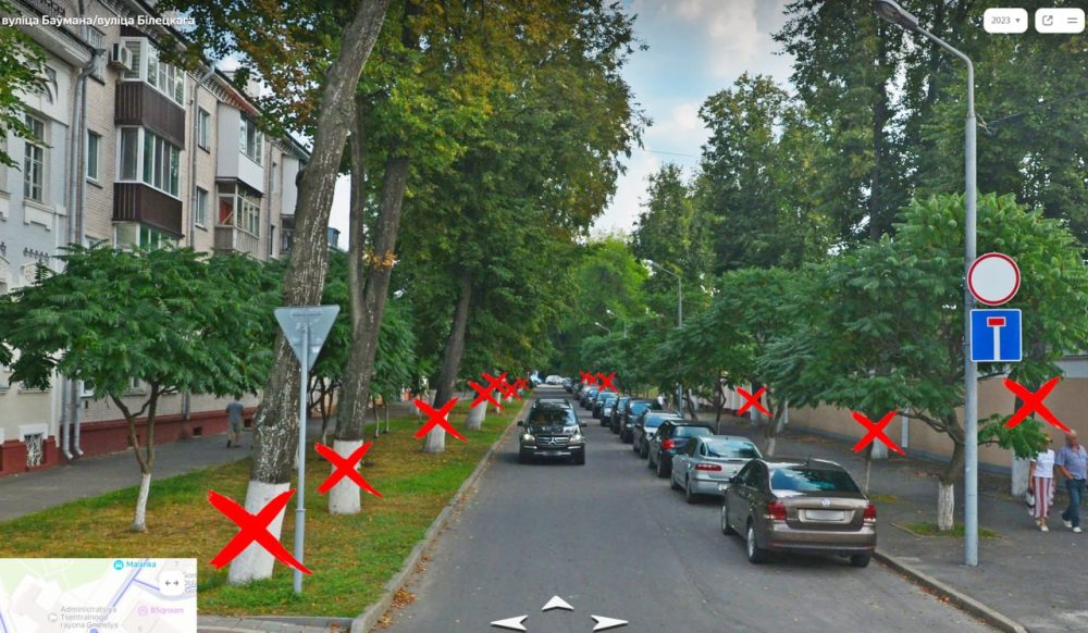 Так выглядели деревья на улице Баумана в Гомеле до вырубки