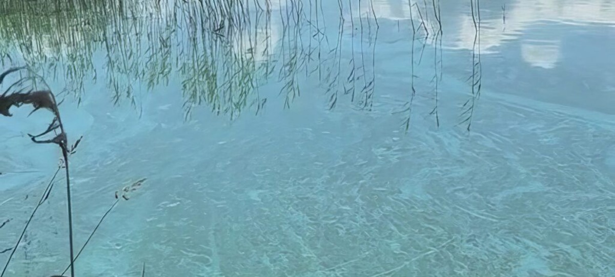 Бирюзовая вода в озере Нарочь. Скриншот видео