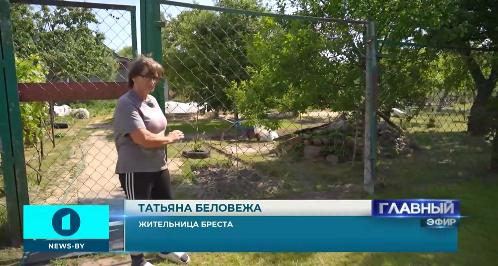 Жительница дома на берегу Мухавца в центре Бреста Татьяна Беловежа. Скриншот видео «Первый информационный»